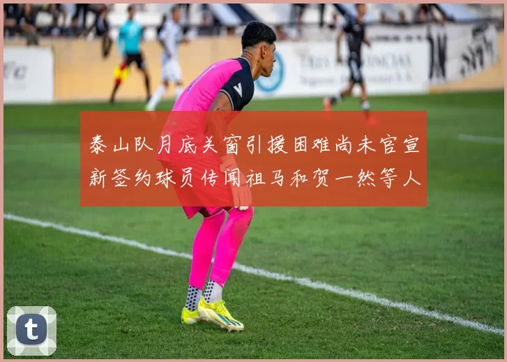 泰山队月底关窗引援困难尚未官宣新签约球员传闻祖马和贺一然等人