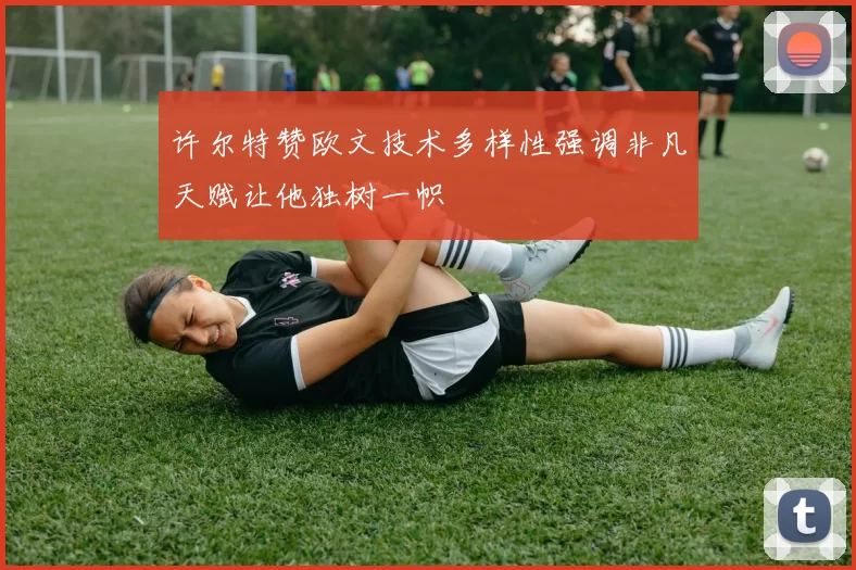 许尔特赞欧文技术多样性强调非凡天赋让他独树一帜