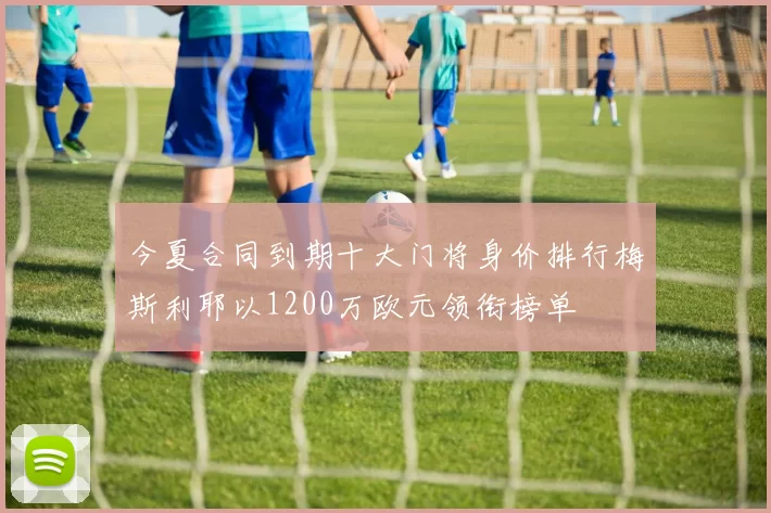 今夏合同到期十大门将身价排行梅斯利耶以1200万欧元领衔榜单